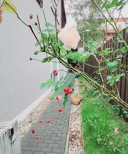 Prázdninový dům Koepenick 43 Mit Wlan