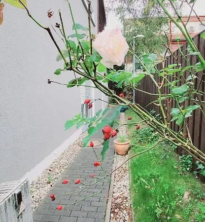Σπίτι διακοπών Koepenick 43 Mit Wlan