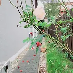 بيت للعطل Koepenick 43 Mit Wlan
